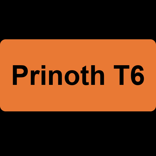 Prinoth T6